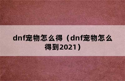 dnf宠物怎么得（dnf宠物怎么得到2021）