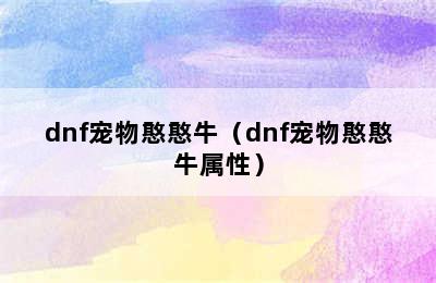 dnf宠物憨憨牛（dnf宠物憨憨牛属性）