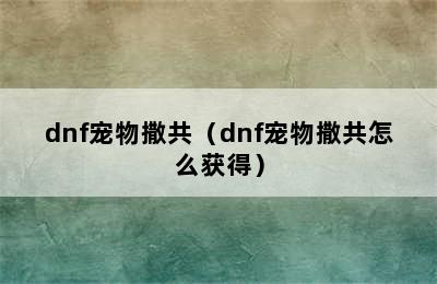 dnf宠物撒共（dnf宠物撒共怎么获得）