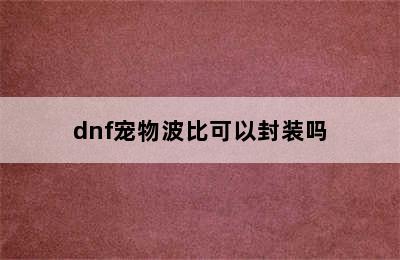 dnf宠物波比可以封装吗