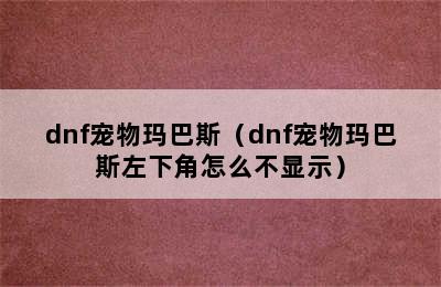 dnf宠物玛巴斯（dnf宠物玛巴斯左下角怎么不显示）