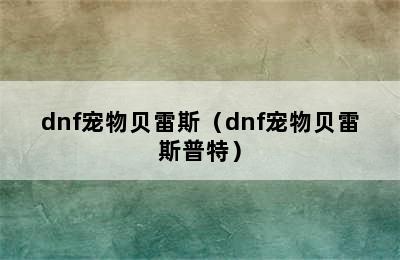 dnf宠物贝雷斯（dnf宠物贝雷斯普特）