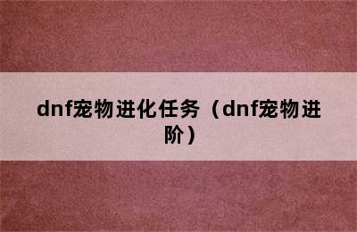 dnf宠物进化任务（dnf宠物进阶）