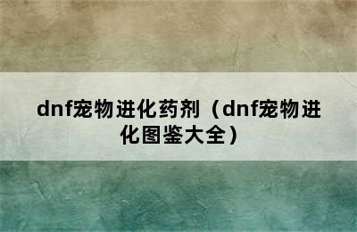 dnf宠物进化药剂（dnf宠物进化图鉴大全）