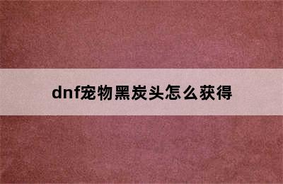 dnf宠物黑炭头怎么获得