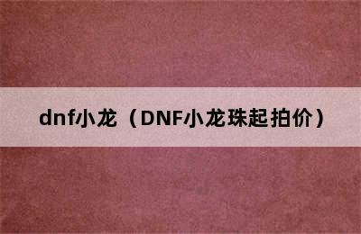 dnf小龙（DNF小龙珠起拍价）