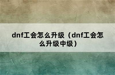 dnf工会怎么升级（dnf工会怎么升级中级）