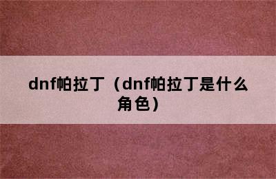 dnf帕拉丁（dnf帕拉丁是什么角色）