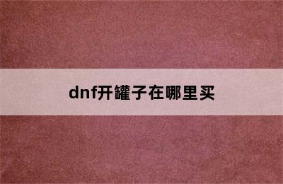 dnf开罐子在哪里买