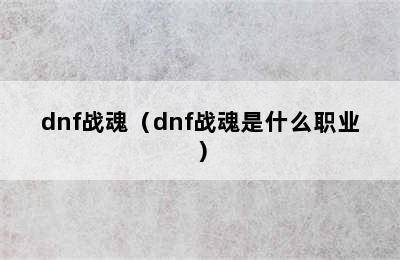 dnf战魂（dnf战魂是什么职业）