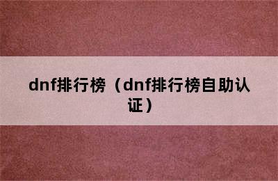 dnf排行榜（dnf排行榜自助认证）