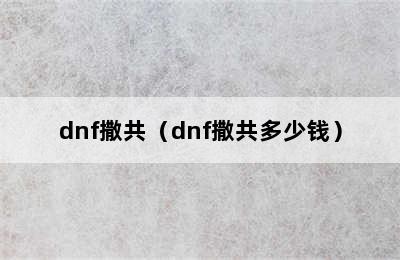 dnf撒共（dnf撒共多少钱）