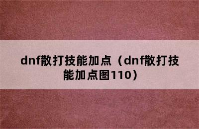 dnf散打技能加点（dnf散打技能加点图110）