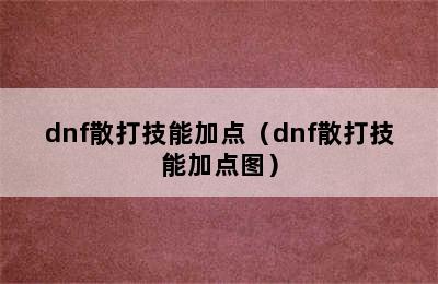 dnf散打技能加点（dnf散打技能加点图）