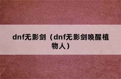 dnf无影剑（dnf无影剑唤醒植物人）