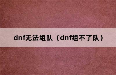 dnf无法组队（dnf组不了队）