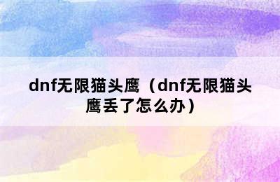 dnf无限猫头鹰（dnf无限猫头鹰丢了怎么办）