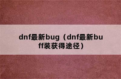 dnf最新bug（dnf最新buff装获得途径）