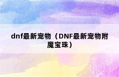 dnf最新宠物（DNF最新宠物附魔宝珠）