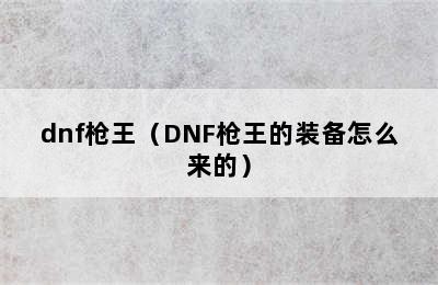 dnf枪王（DNF枪王的装备怎么来的）