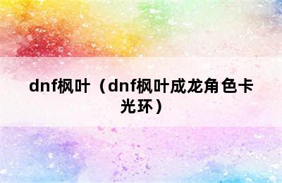 dnf枫叶（dnf枫叶成龙角色卡光环）