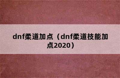 dnf柔道加点（dnf柔道技能加点2020）