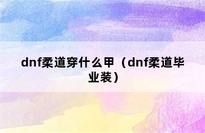 dnf柔道穿什么甲（dnf柔道毕业装）