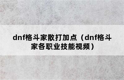 dnf格斗家散打加点（dnf格斗家各职业技能视频）