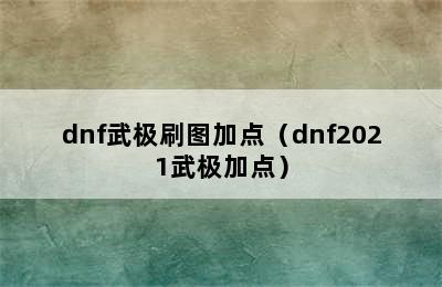 dnf武极刷图加点（dnf2021武极加点）