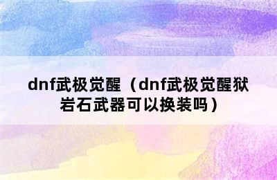 dnf武极觉醒（dnf武极觉醒狱岩石武器可以换装吗）