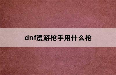 dnf漫游枪手用什么枪