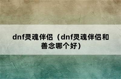 dnf灵魂伴侣（dnf灵魂伴侣和善念哪个好）