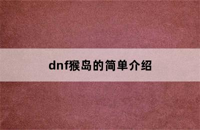 dnf猴岛的简单介绍