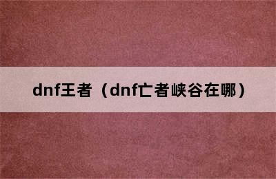 dnf王者（dnf亡者峡谷在哪）