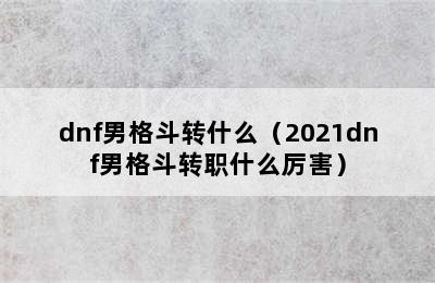 dnf男格斗转什么（2021dnf男格斗转职什么厉害）