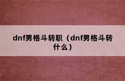 dnf男格斗转职（dnf男格斗转什么）