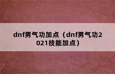 dnf男气功加点（dnf男气功2021技能加点）