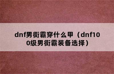 dnf男街霸穿什么甲（dnf100级男街霸装备选择）