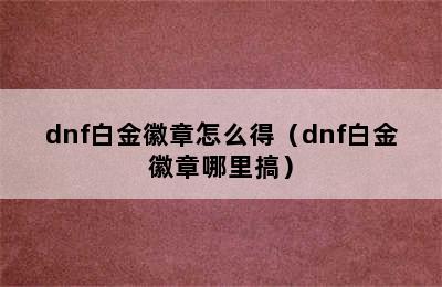 dnf白金徽章怎么得（dnf白金徽章哪里搞）