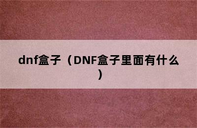 dnf盒子（DNF盒子里面有什么）