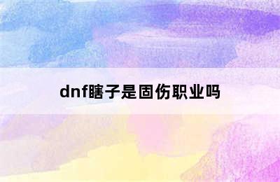 dnf瞎子是固伤职业吗