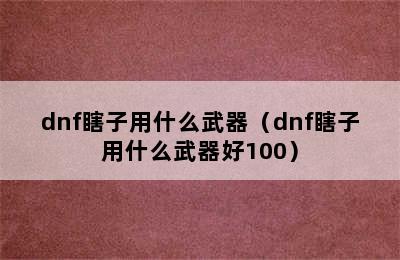 dnf瞎子用什么武器（dnf瞎子用什么武器好100）