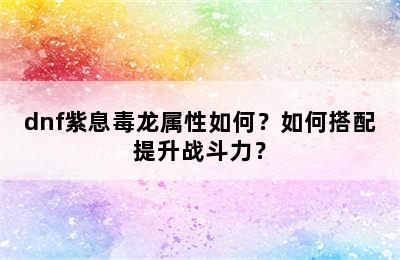 dnf紫息毒龙属性如何？如何搭配提升战斗力？