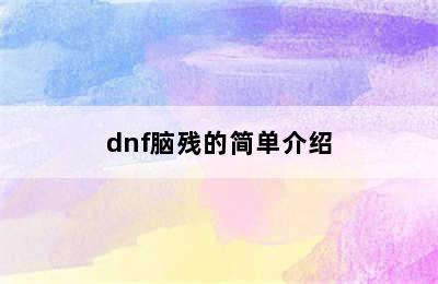 dnf脑残的简单介绍