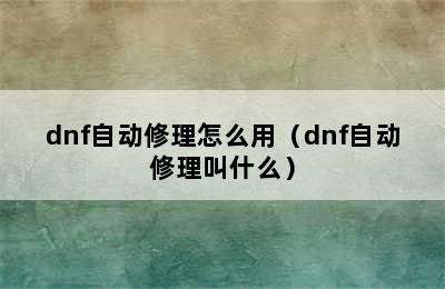 dnf自动修理怎么用（dnf自动修理叫什么）