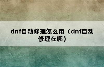 dnf自动修理怎么用（dnf自动修理在哪）