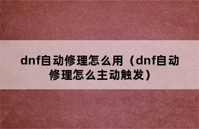 dnf自动修理怎么用（dnf自动修理怎么主动触发）