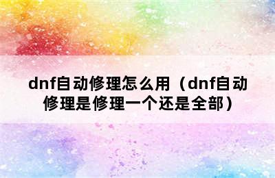 dnf自动修理怎么用（dnf自动修理是修理一个还是全部）