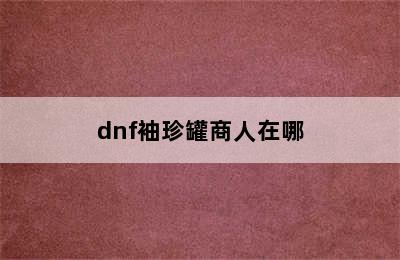 dnf袖珍罐商人在哪