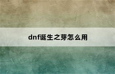 dnf诞生之芽怎么用